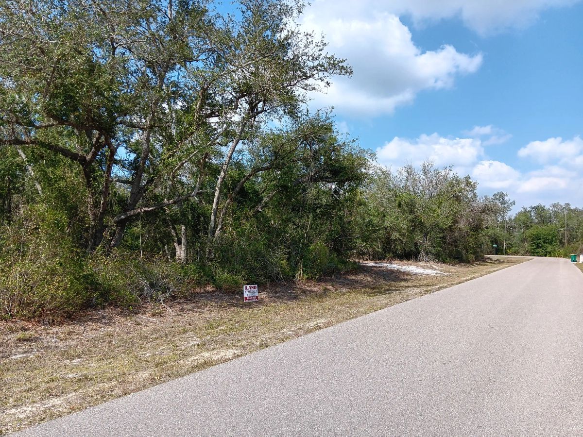 Decorative background for Undeveloped Single Family Residential Lot in Punta Gorda, FL image 8
