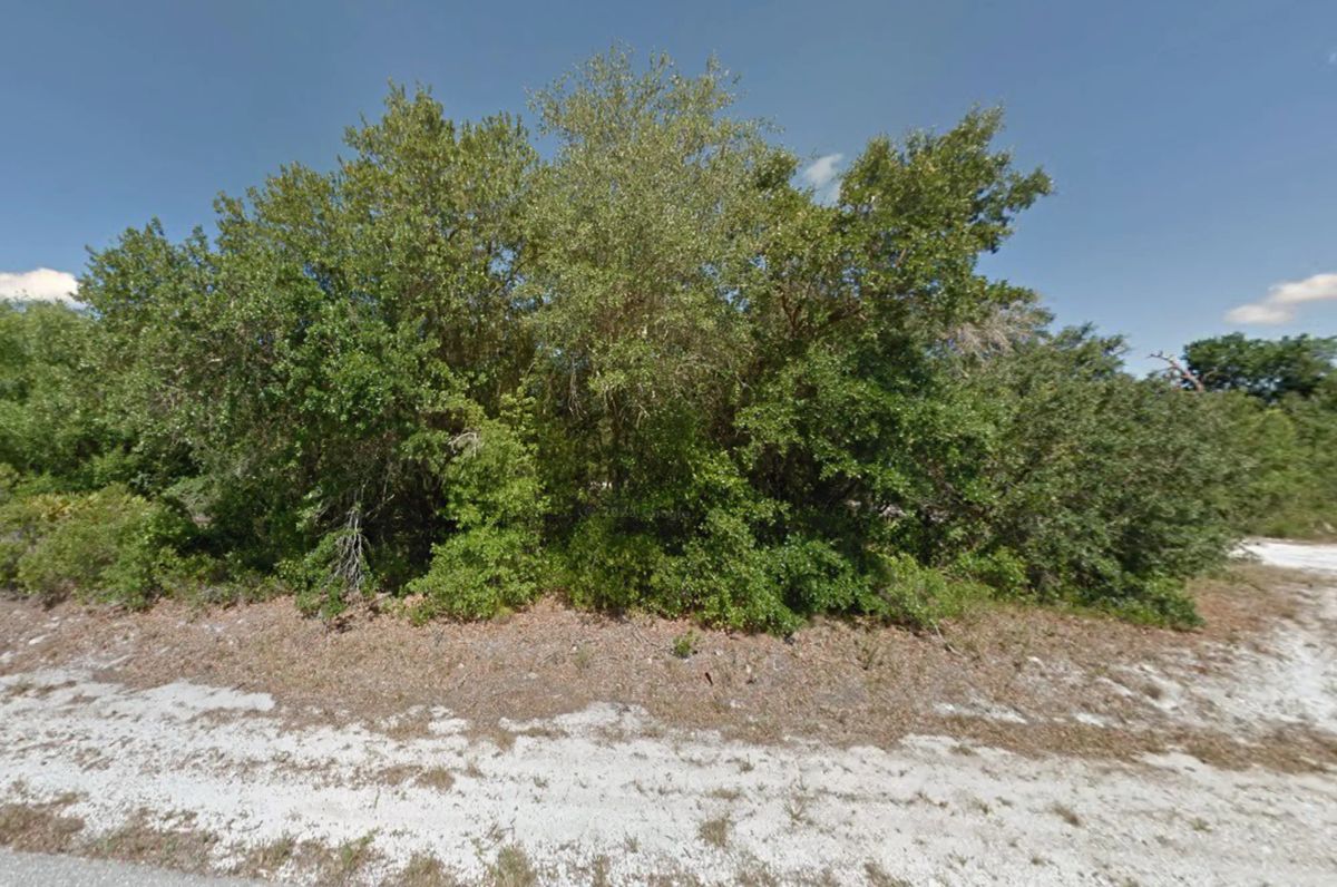 Decorative background for Undeveloped Single Family Residential Lot in Punta Gorda, FL image 9