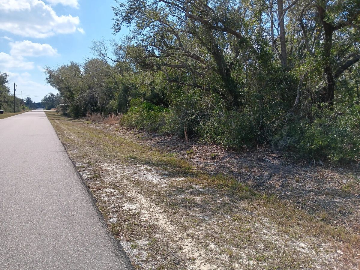 Decorative background for Undeveloped Single Family Residential Lot in Punta Gorda, FL image 15