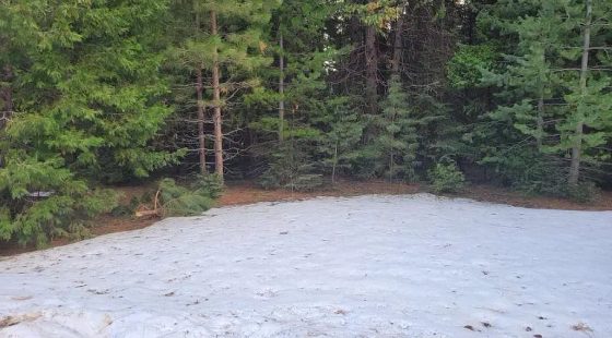 .51 Acres Of Residential Land For Sale In Shingletown, CA in Shasta County, CA