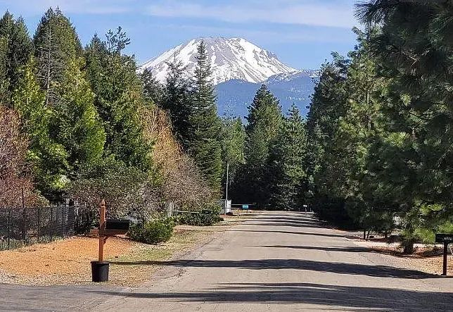 Decorative background for .51 Acres Of Residential Land For Sale In Shingletown, CA image 9