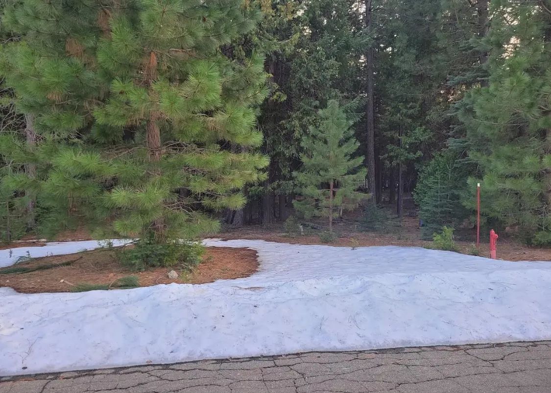 Decorative background for .51 Acres Of Residential Land For Sale In Shingletown, CA image 10