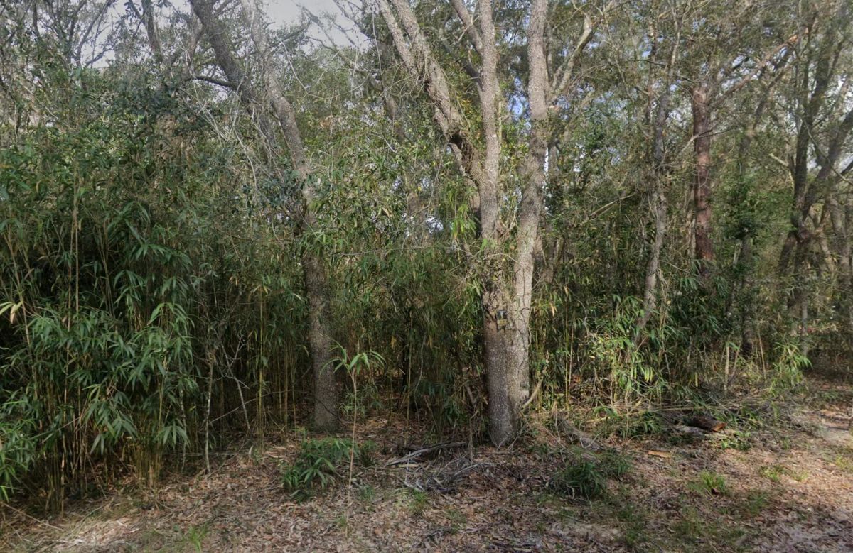 Residential Corner Lot in Altoona, FL off Lake Dorr - Main image