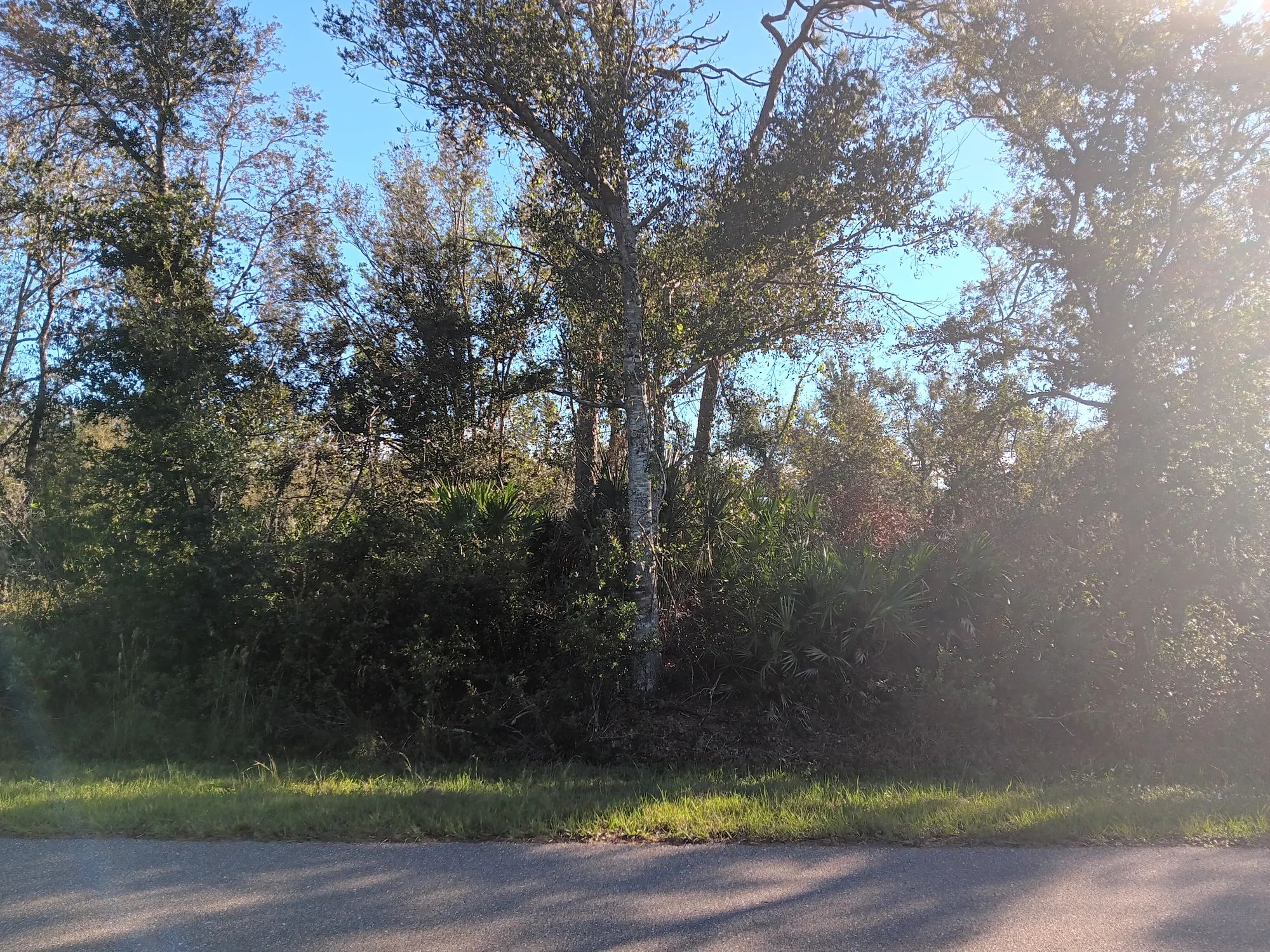 Undeveloped Lot near the Lake in Punta Gorda, FL