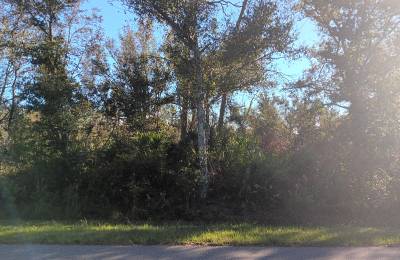 Undeveloped Lot near the Lake in Punta Gorda, FL