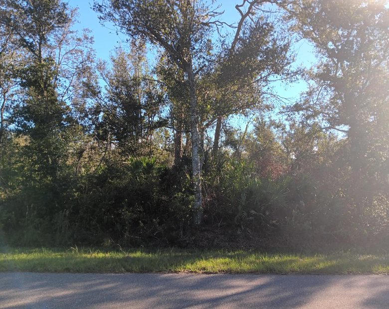 Undeveloped Lot near the Lake in Punta Gorda, FL in Charlotte County, FL
