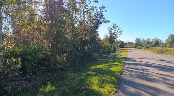 Undeveloped Lot near the Lake in Punta Gorda, FL in Charlotte County, FL