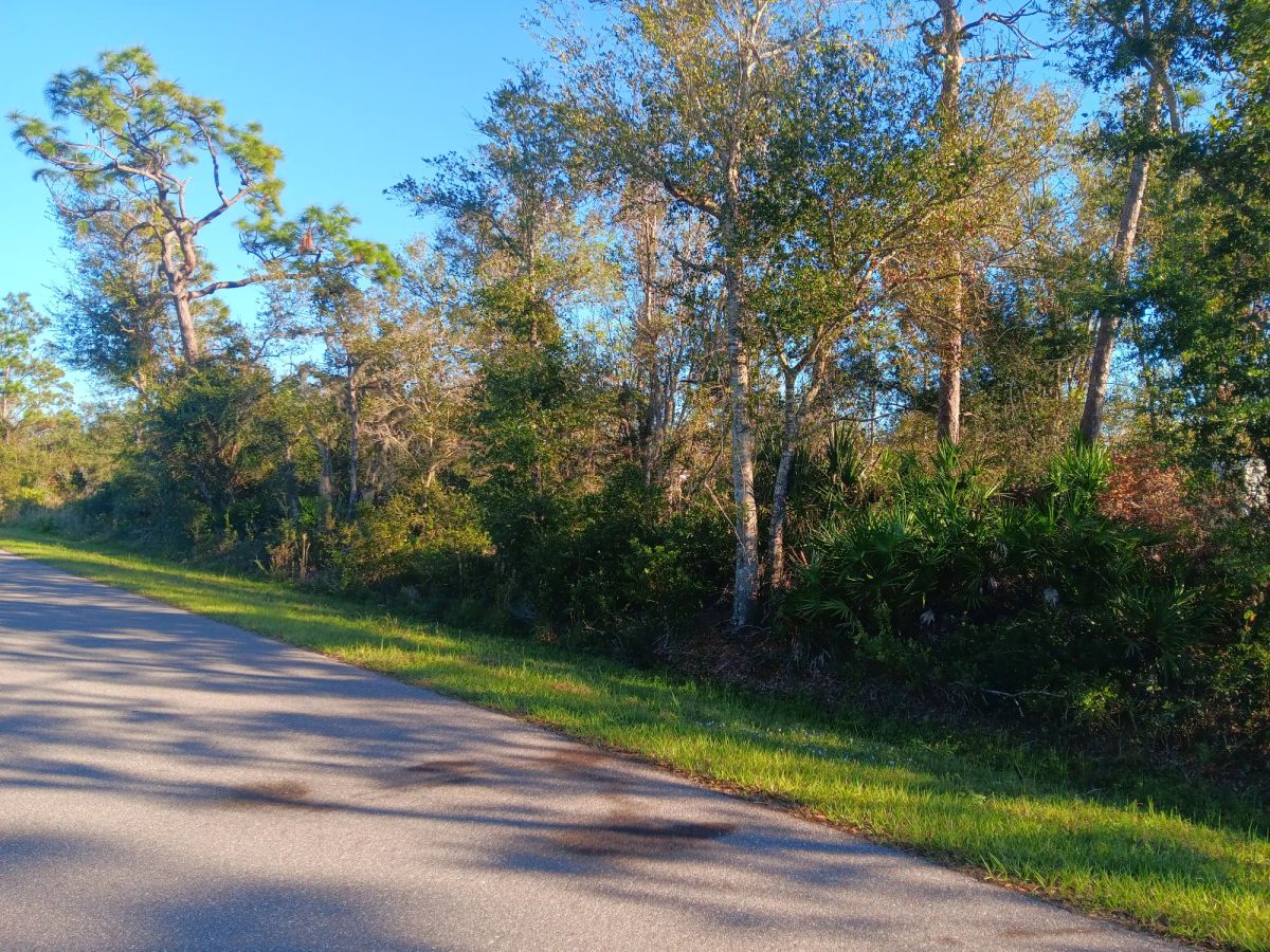 Undeveloped Lot near the Lake in Punta Gorda, FL - Image 3