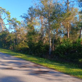 Undeveloped Lot near the Lake in Punta Gorda, FL in Charlotte County, FL