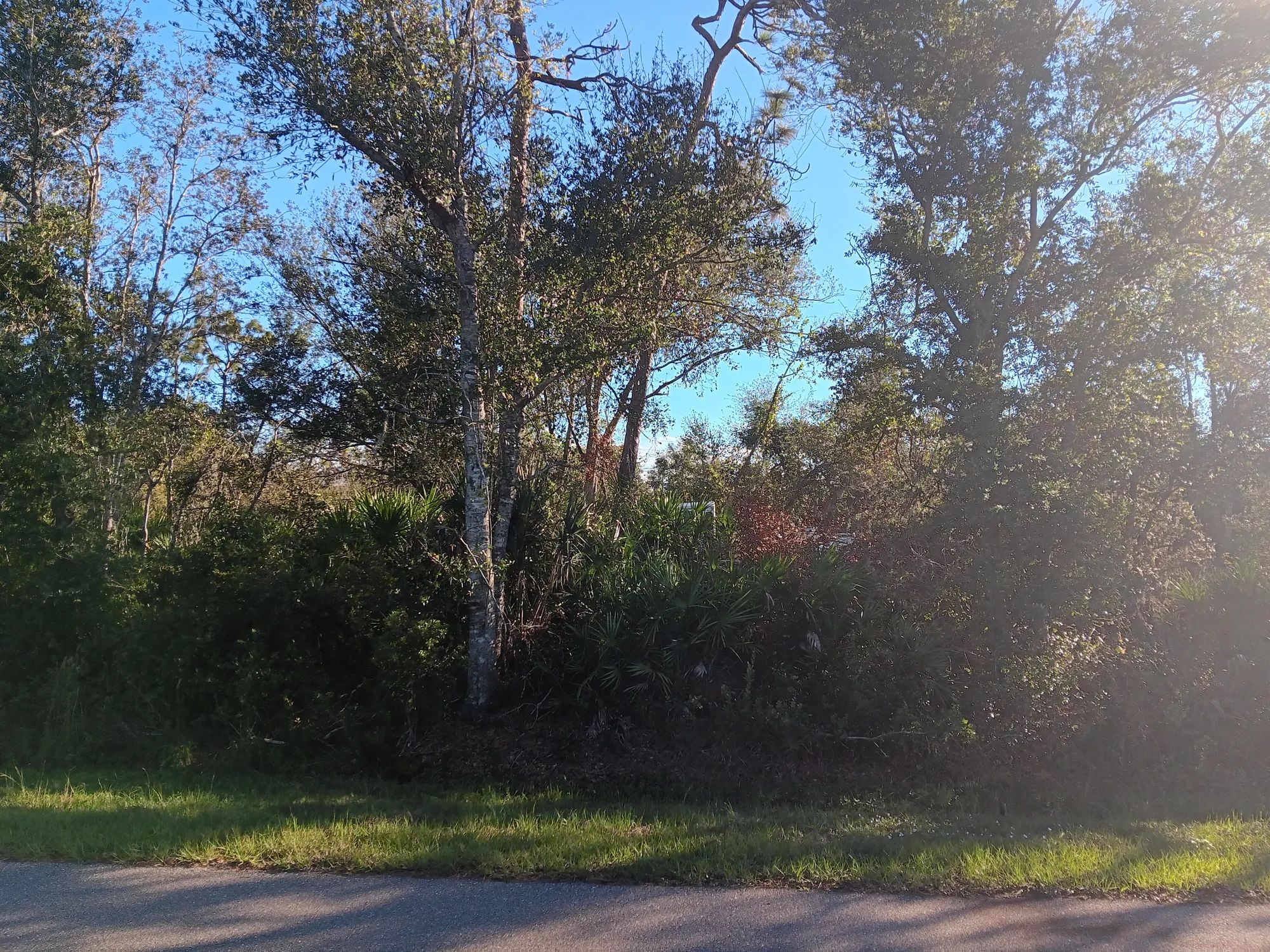 Undeveloped Lot near the Lake in Punta Gorda, FL in Charlotte County, FL