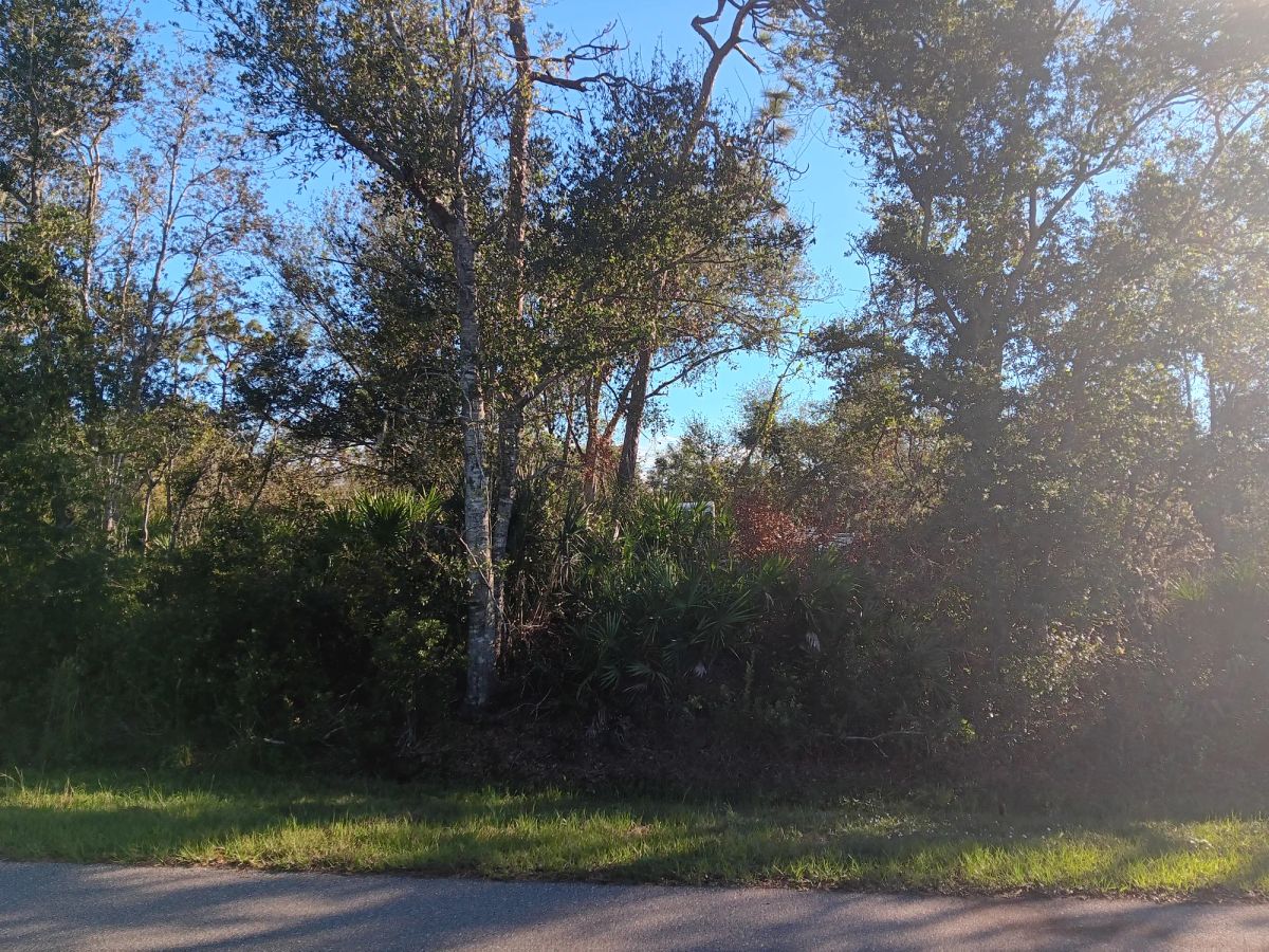 Undeveloped Lot near the Lake in Punta Gorda, FL - Image 4