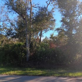 Undeveloped Lot near the Lake in Punta Gorda, FL in Charlotte County, FL