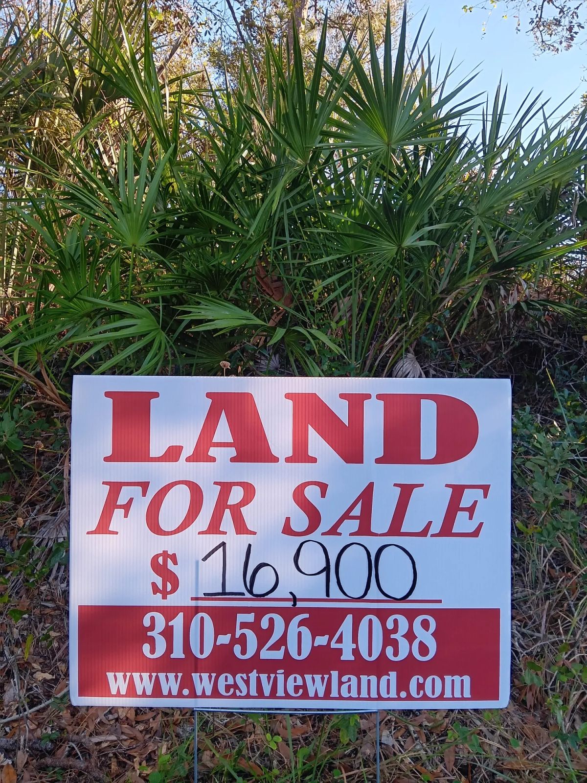 Decorative background for Undeveloped Lot near the Lake in Punta Gorda, FL image 5