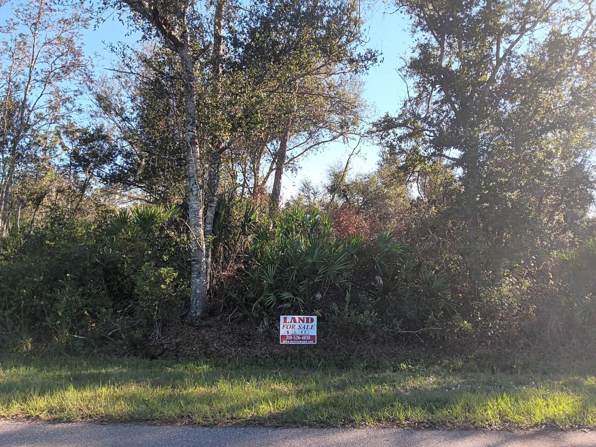 Decorative background for Undeveloped Lot near the Lake in Punta Gorda, FL image 6
