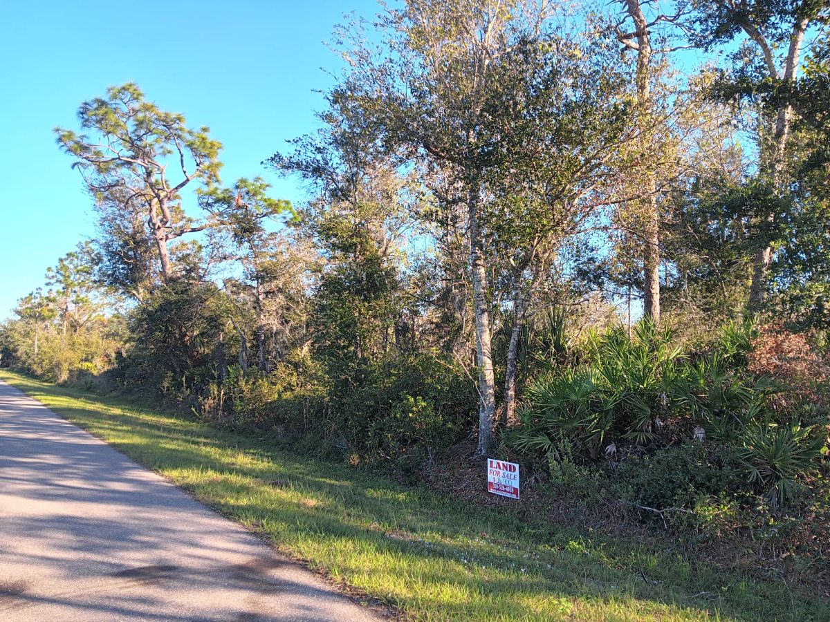 Decorative background for Undeveloped Lot near the Lake in Punta Gorda, FL image 7
