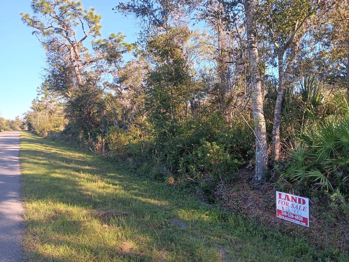 Decorative background for Undeveloped Lot near the Lake in Punta Gorda, FL image 8