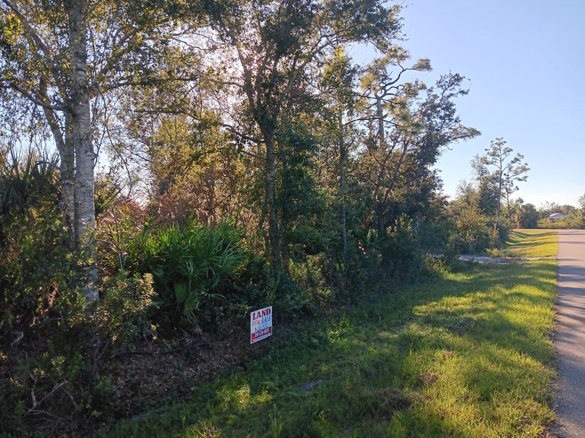 Decorative background for Undeveloped Lot near the Lake in Punta Gorda, FL image 9