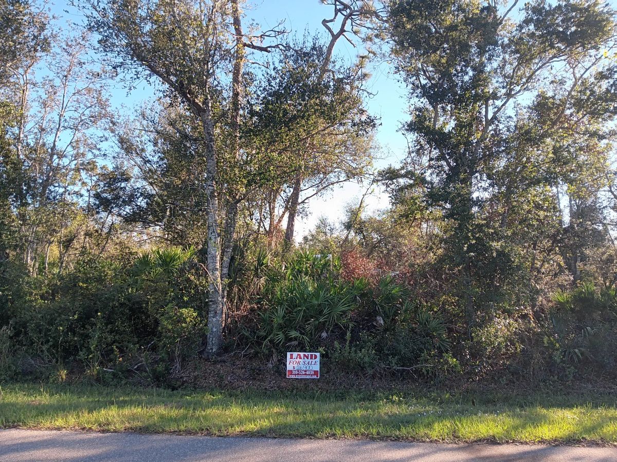 Decorative background for Undeveloped Lot near the Lake in Punta Gorda, FL image 10
