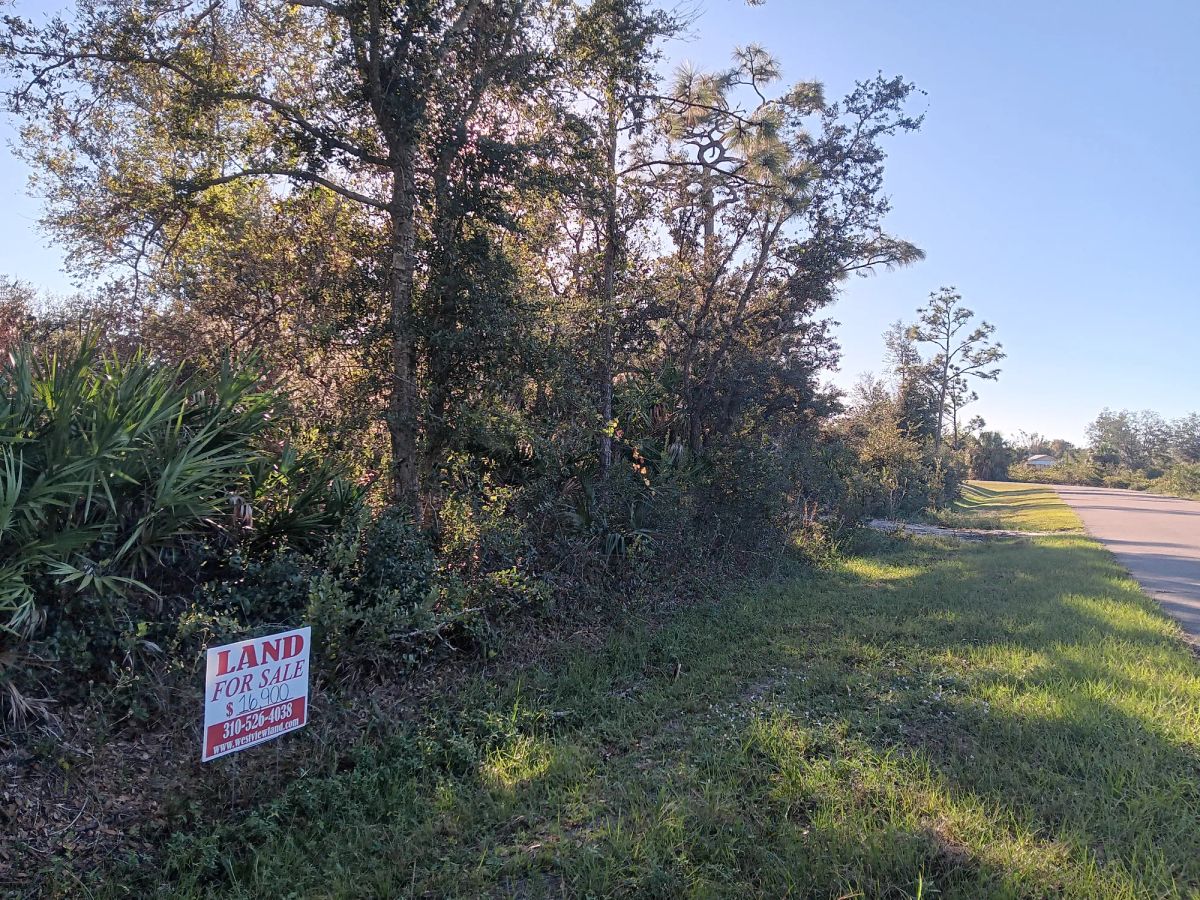Decorative background for Undeveloped Lot near the Lake in Punta Gorda, FL image 11