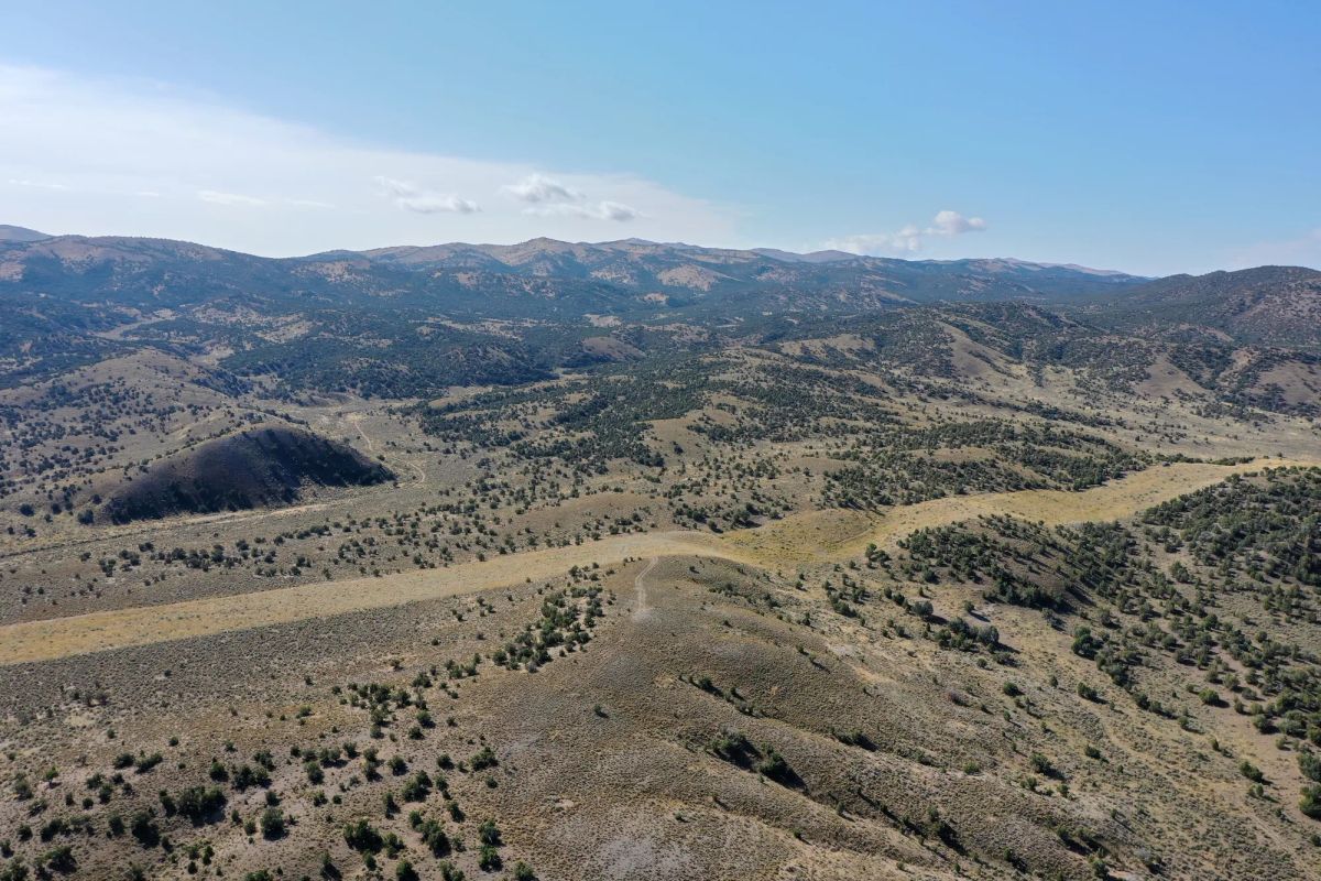 Decorative background for 40 Acres in Elko County, NV image 7