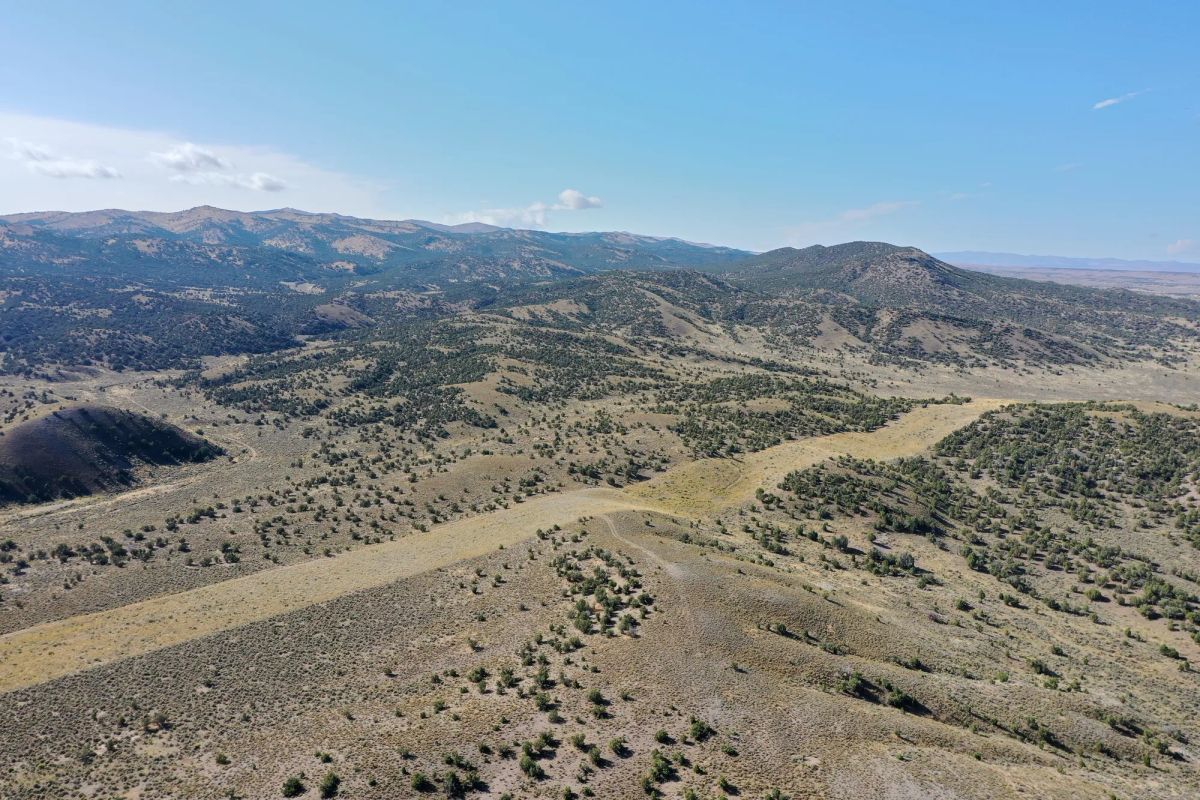 Decorative background for 40 Acres in Elko County, NV image 8