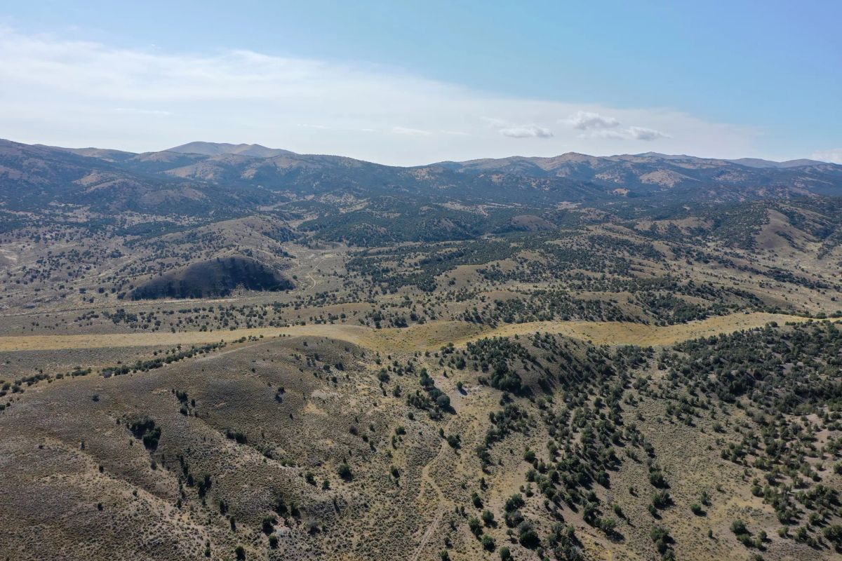 Decorative background for 40 Acres in Elko County, NV image 10