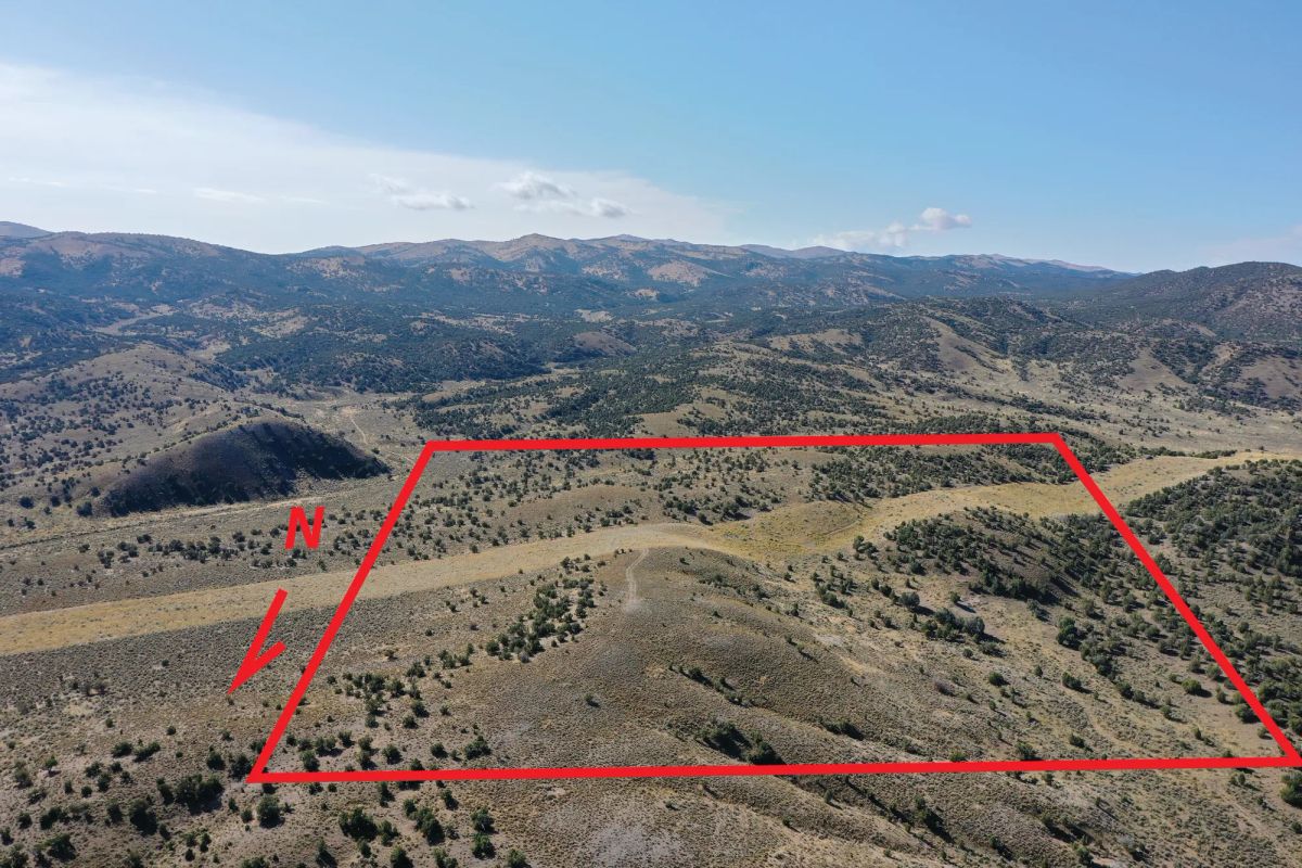 Decorative background for 40 Acres in Elko County, NV image 11