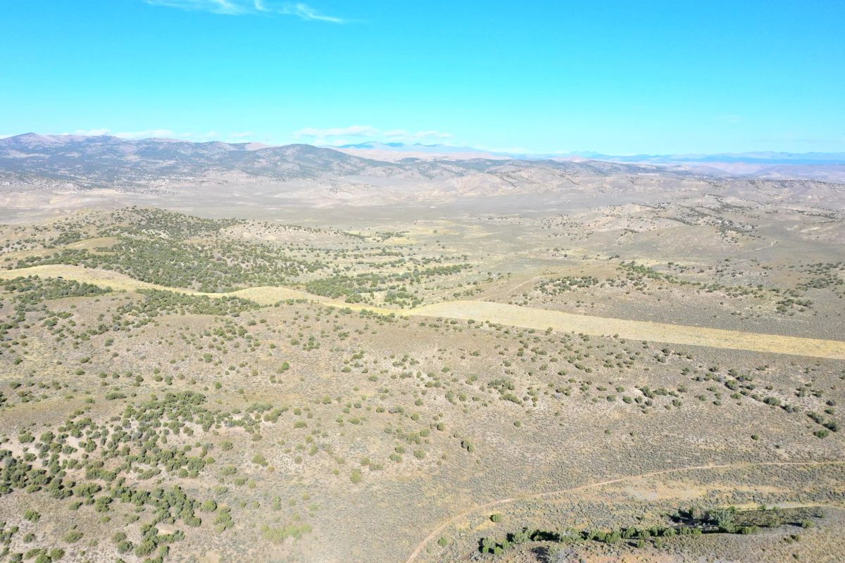 Decorative background for 40 Acres in Elko County, NV image 12