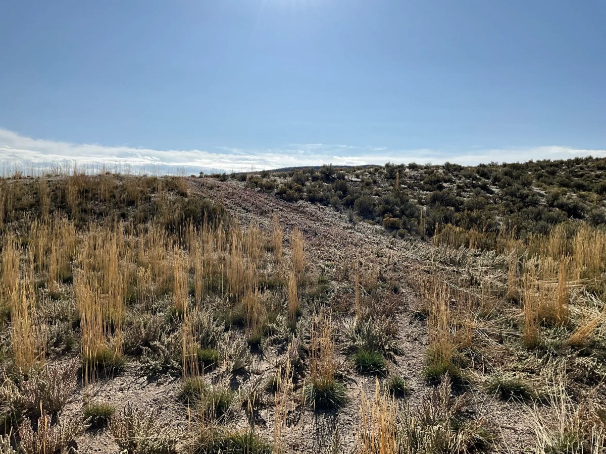 Decorative background for 40 Acres in Elko County, NV image 14