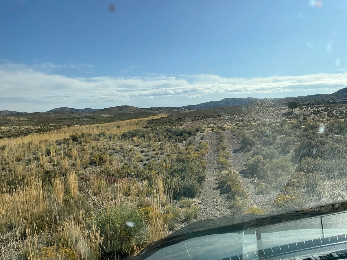 Decorative background for 40 Acres in Elko County, NV image 15