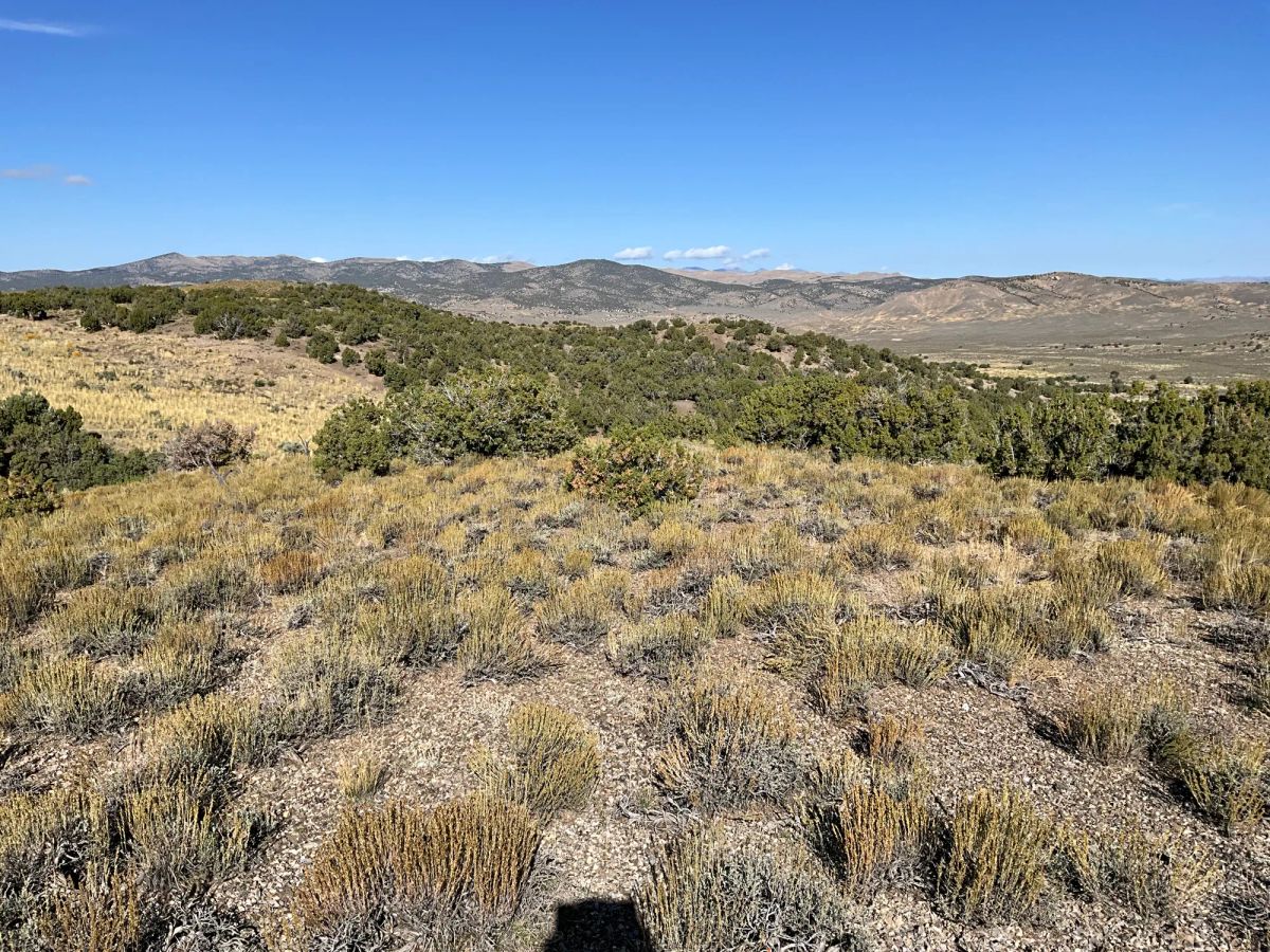 Decorative background for 40 Acres in Elko County, NV image 16
