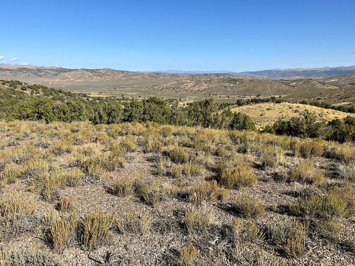 Decorative background for 40 Acres in Elko County, NV image 17