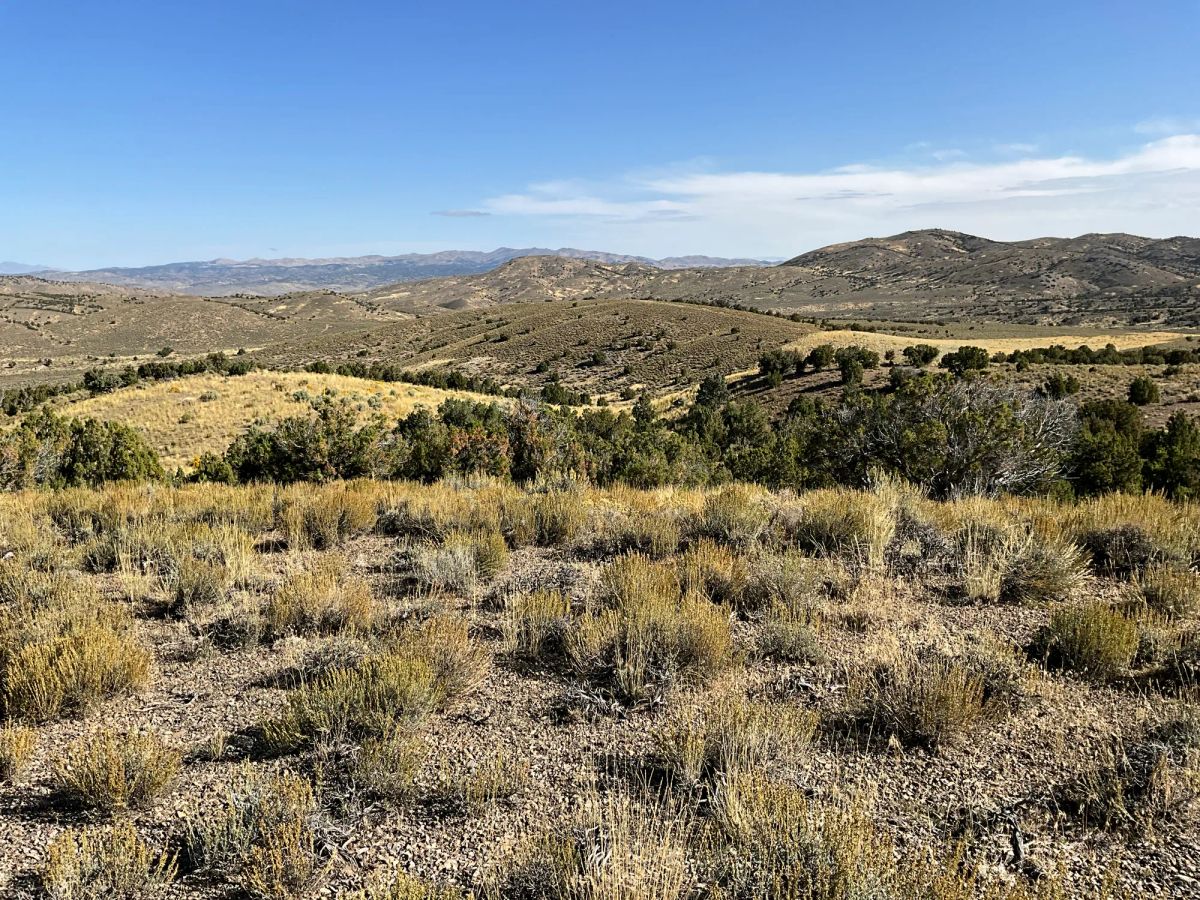 Decorative background for 40 Acres in Elko County, NV image 18