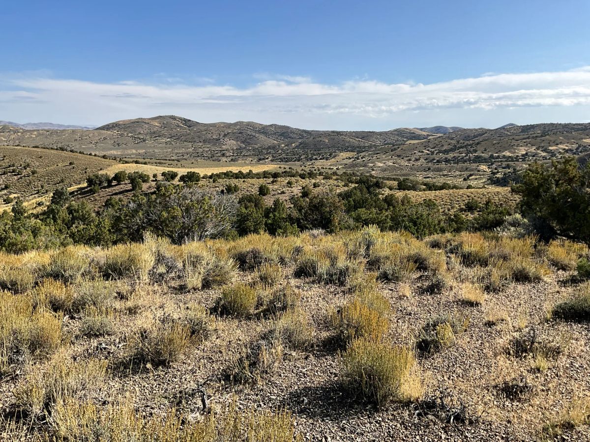 Decorative background for 40 Acres in Elko County, NV image 19