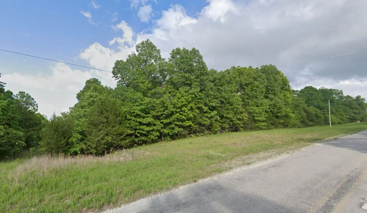 0.3 Acres in Izard County, AR - Image 2