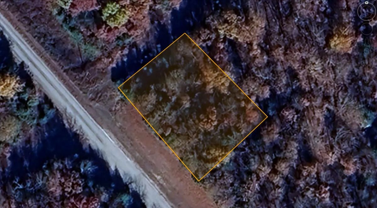 0.3 Acres in Izard County, AR - Image 4