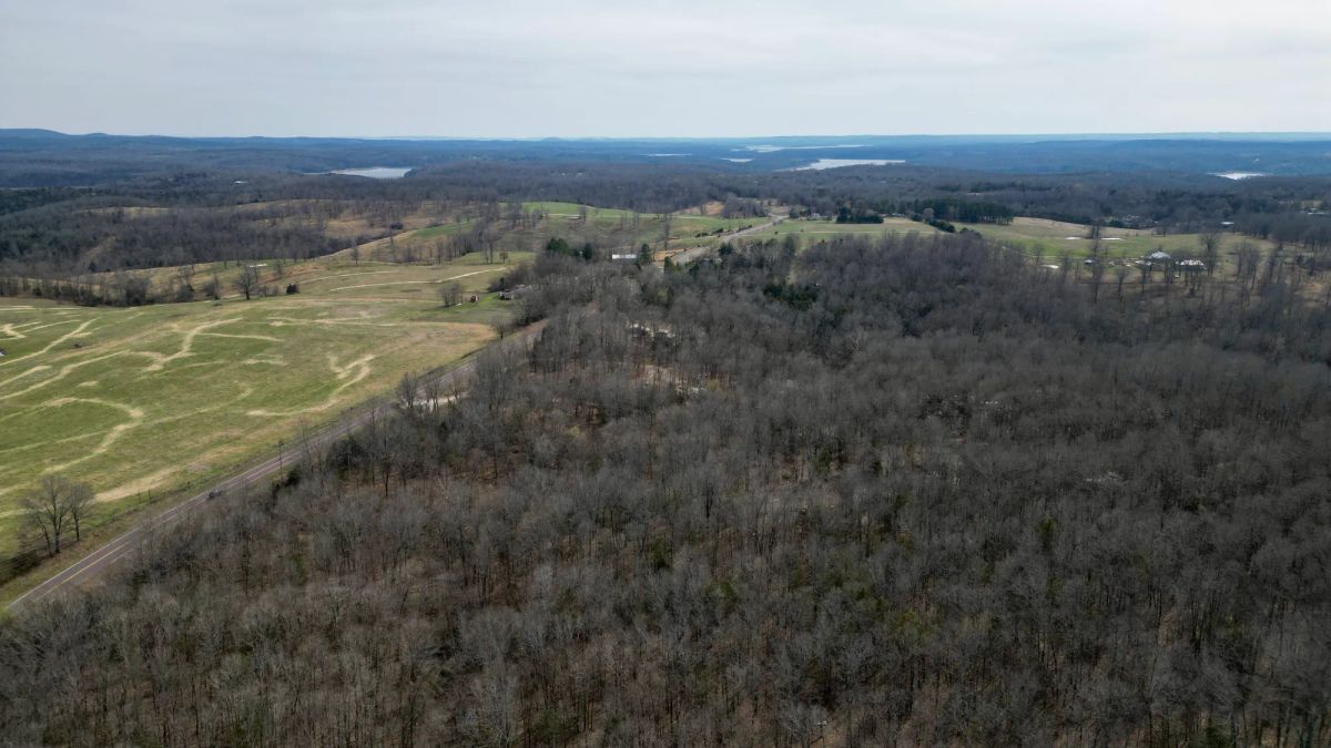 0.09 Acres in Ozark County, MO - Main image