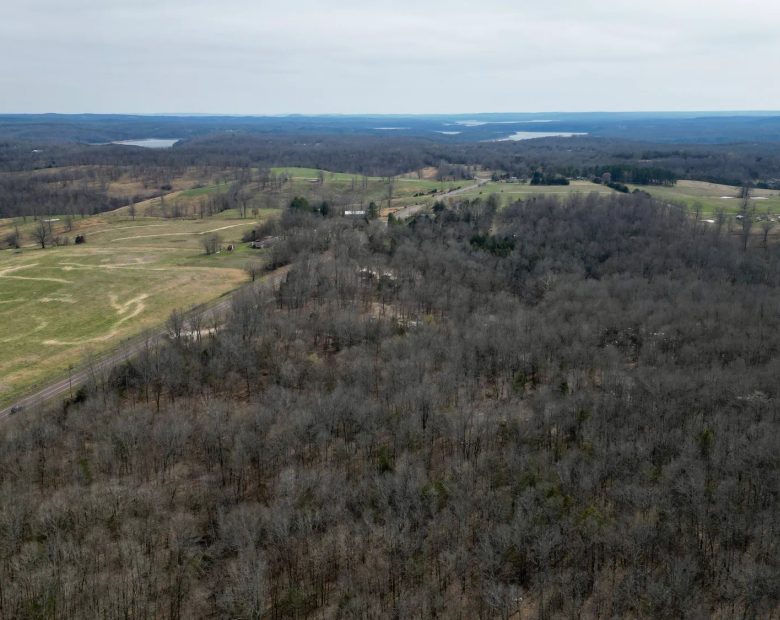0.09 Acres in Ozark County, MO in Ozark County, MO