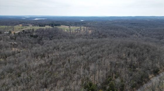 0.09 Acres in Ozark County, MO in Ozark County, MO
