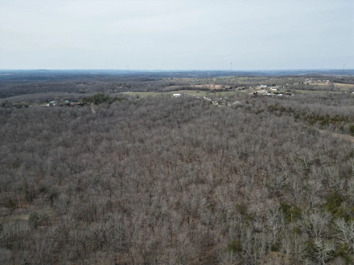 0.09 Acres in Ozark County, MO - Image 4