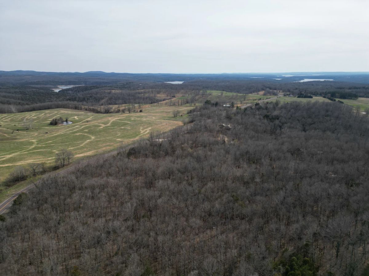Decorative background for 0.09 Acres in Ozark County, MO image 5