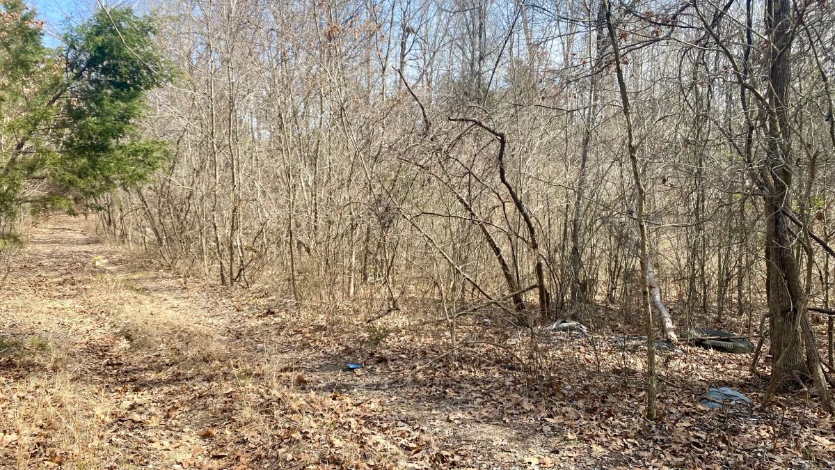 Decorative background for 0.09 Acres in Ozark County, MO image 6