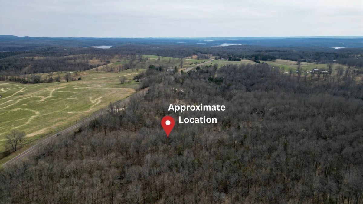 Decorative background for 0.09 Acres in Ozark County, MO image 7