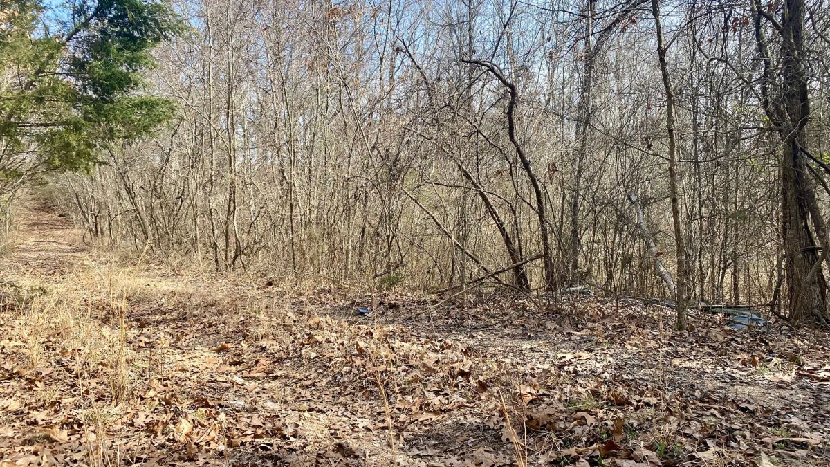Decorative background for 0.09 Acres in Ozark County, MO image 8