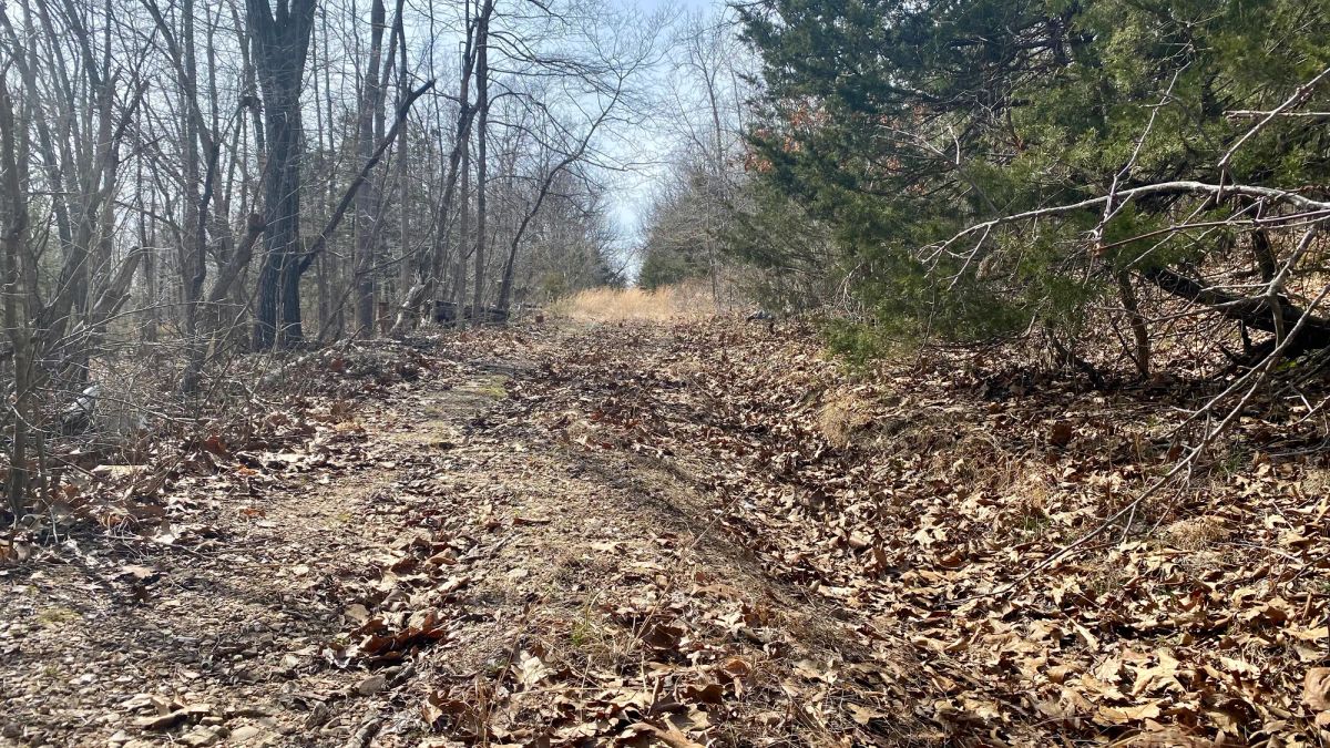 Decorative background for 0.09 Acres in Ozark County, MO image 11