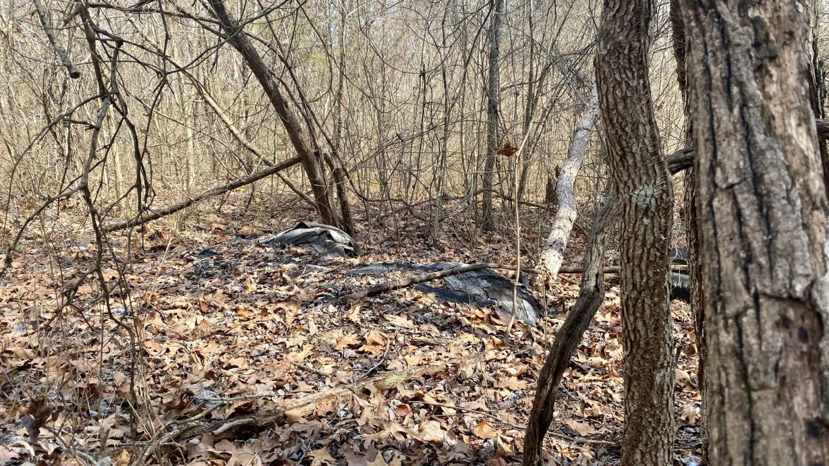 Decorative background for 0.09 Acres in Ozark County, MO image 14