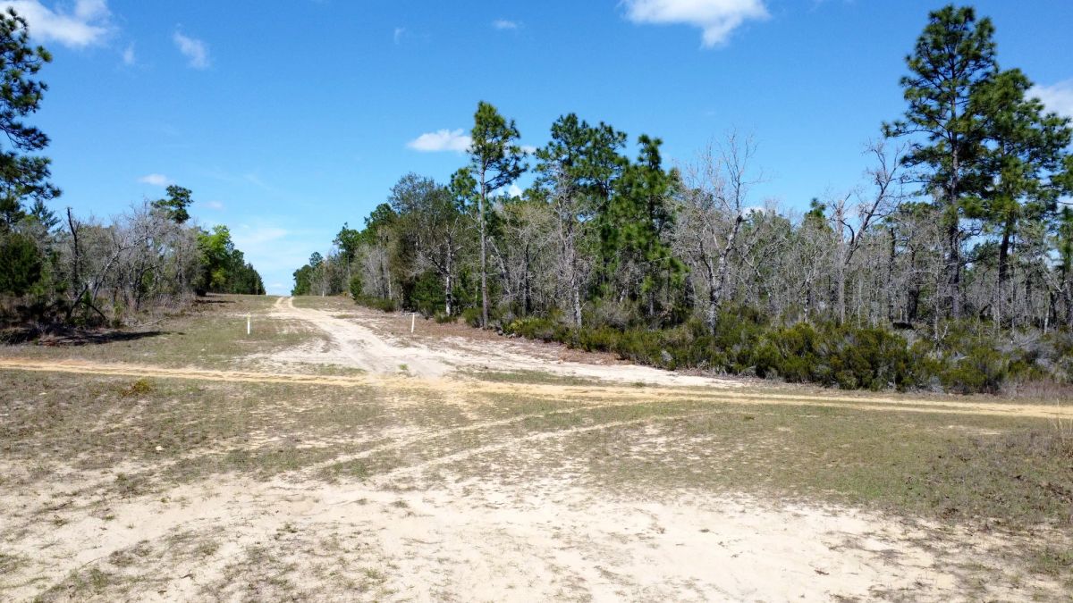 0.4 Acres in Putnam County, FL - Main image