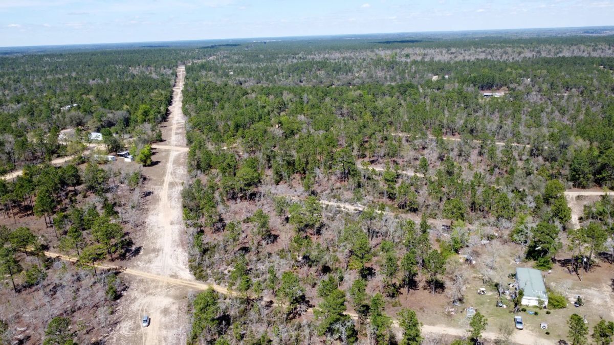 0.4 Acres in Putnam County, FL - Image 2