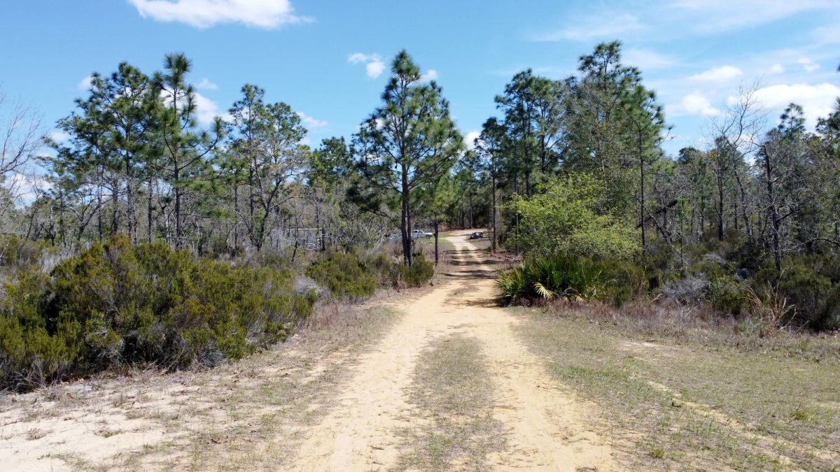 0.4 Acres in Putnam County, FL - Image 4