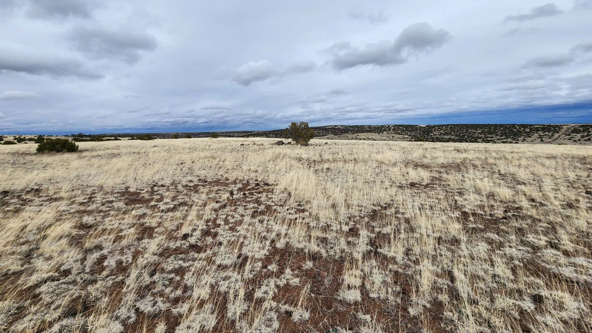 1.04 Acres in Apache County, AZ - Main image